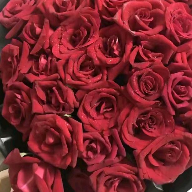 雪花花🌹🌹🌹