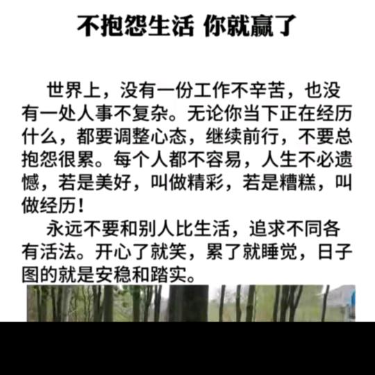 城南花语开