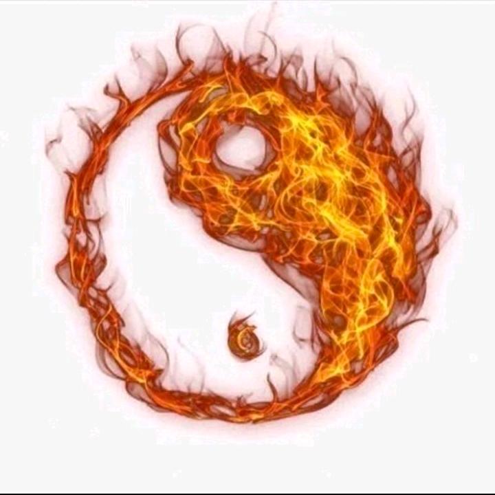 刘向