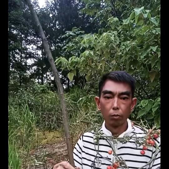 哥心善良