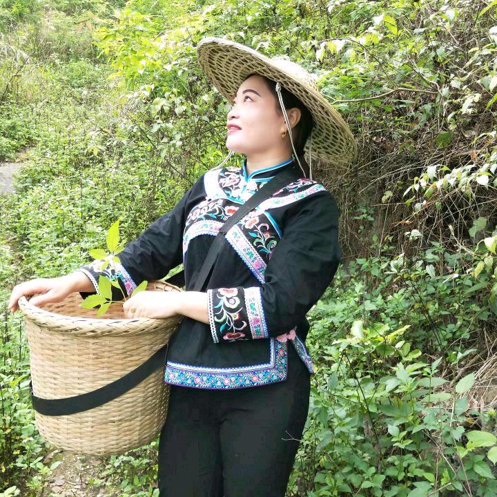 镇南姐.中草药
