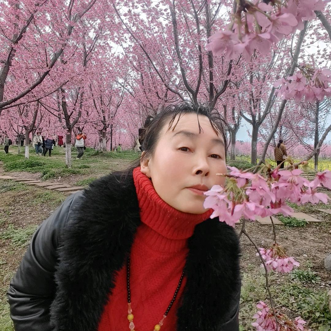 慧妹🎤每晚8:40开播