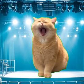 猫meme治愈系