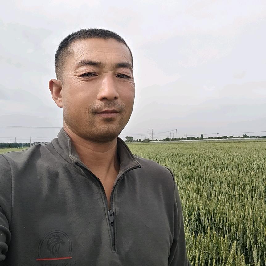 @徐金坤    粮食搬运工