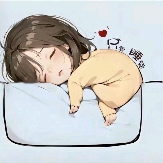 宝哥