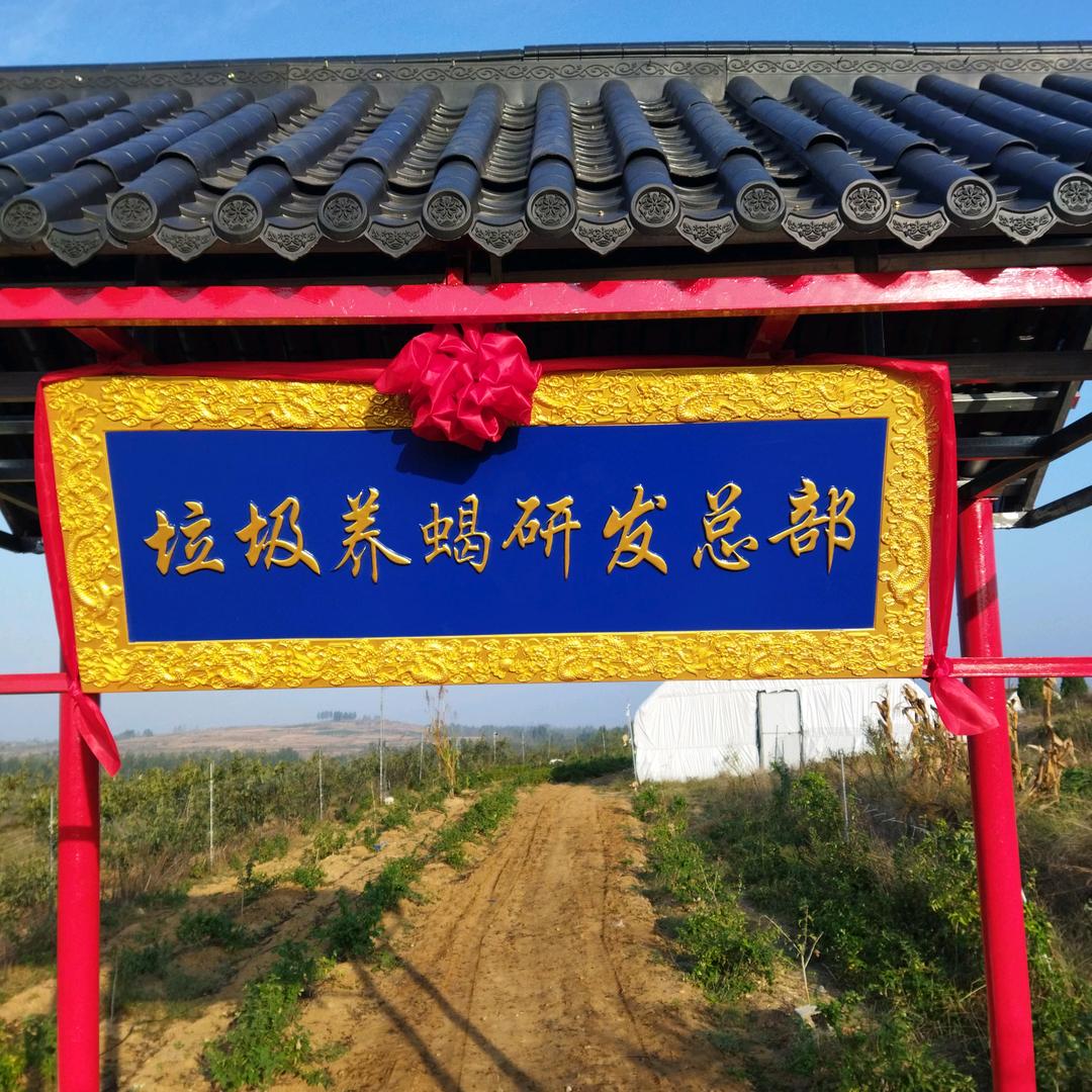 垃圾养蝎研发总部