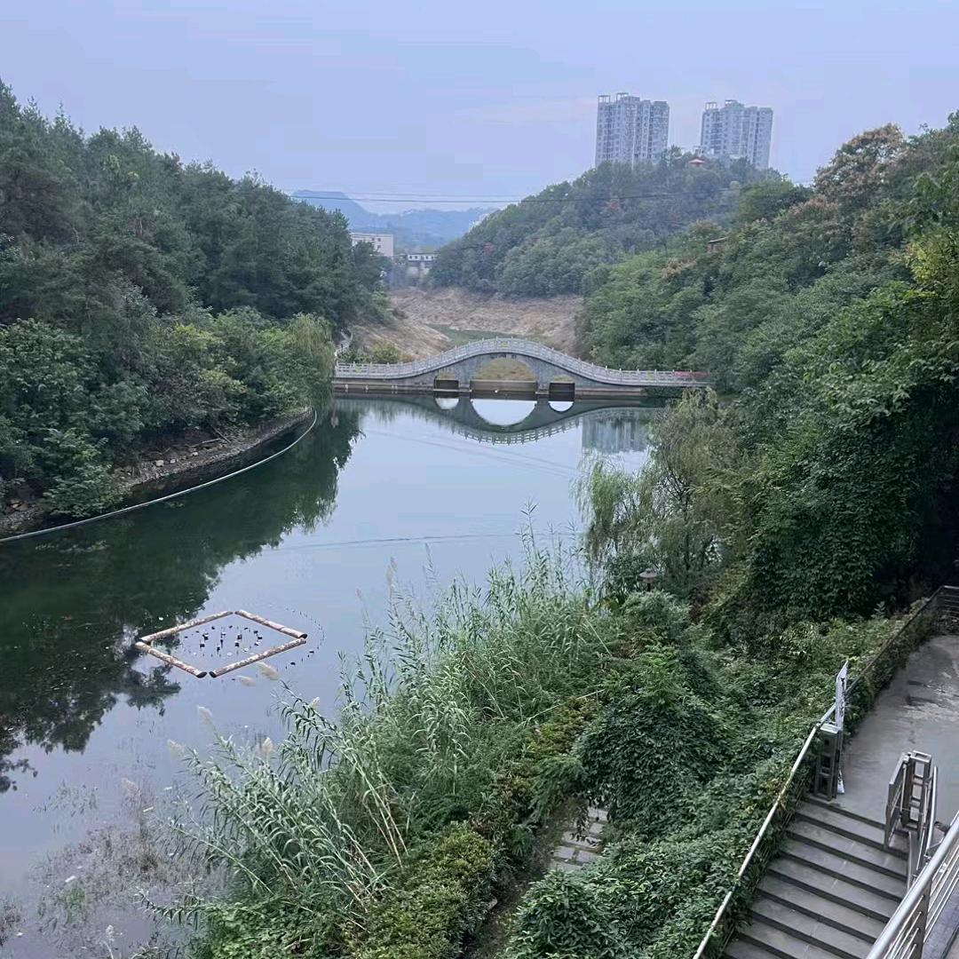 柒家元素