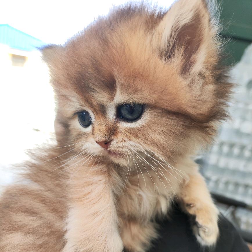 怎么开心怎么过