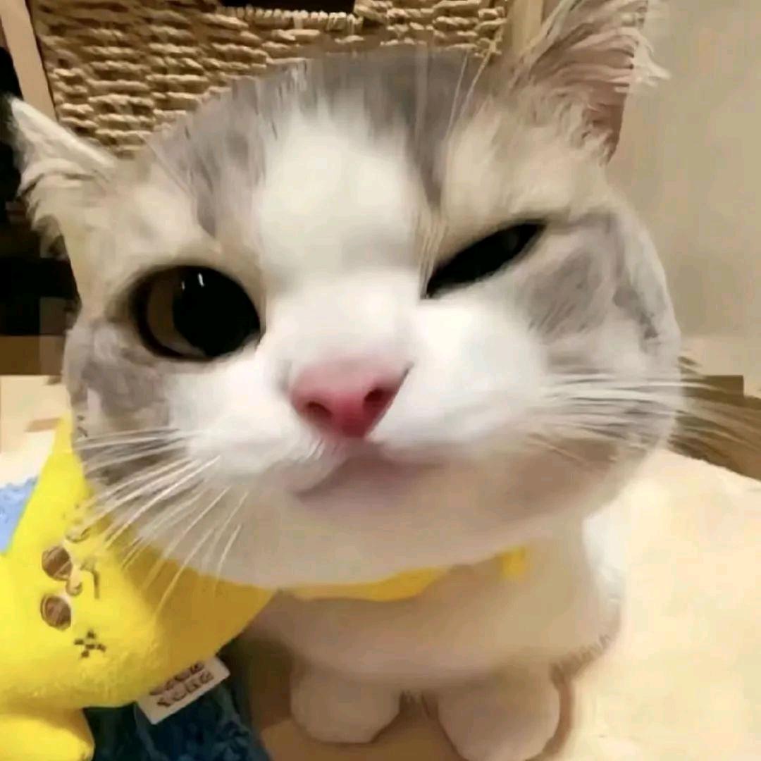 天哪！