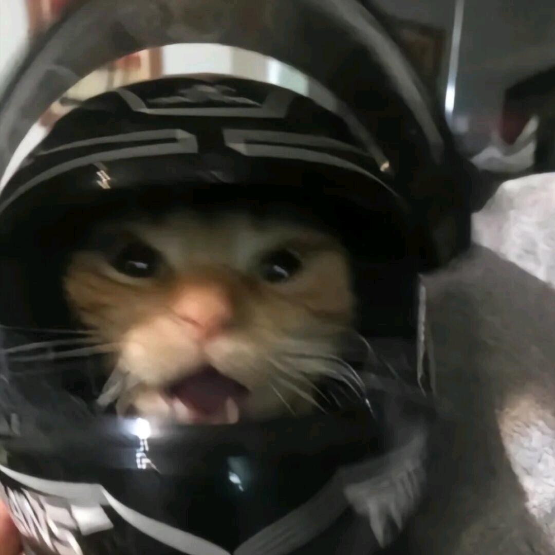 睿