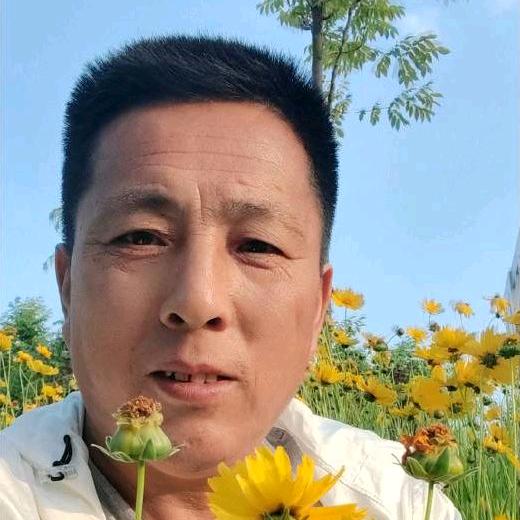 濤聲依舊