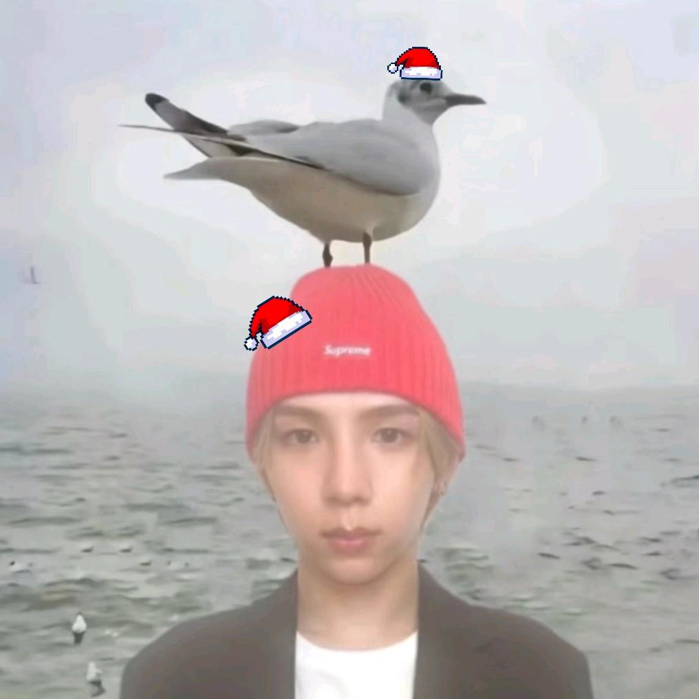 我是你爸爸我生了你