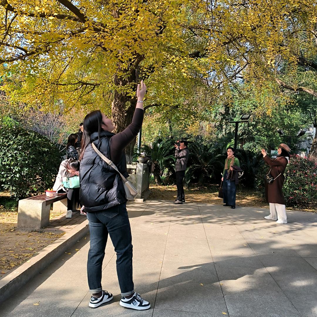 南风之我意
