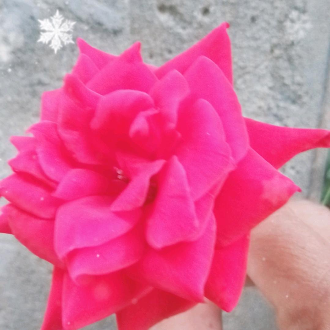 河南光頭哥愛唱歌