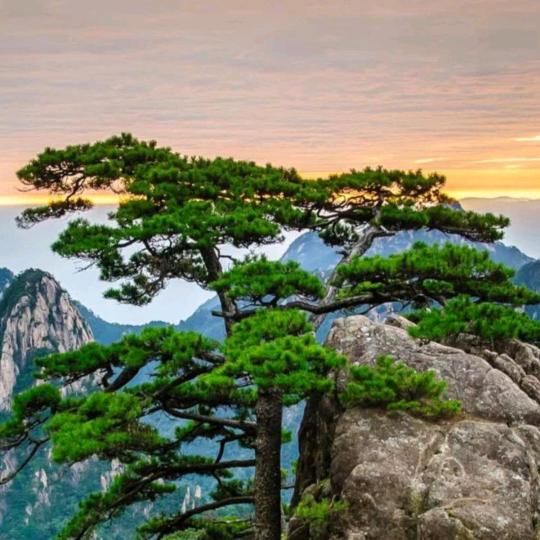 天山祥云