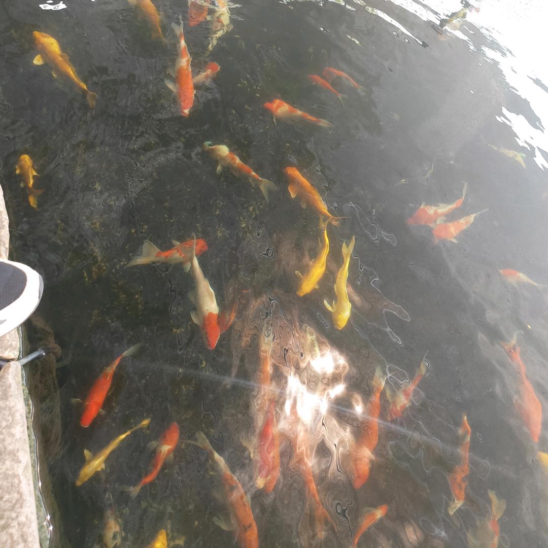 享香阁好物推荐