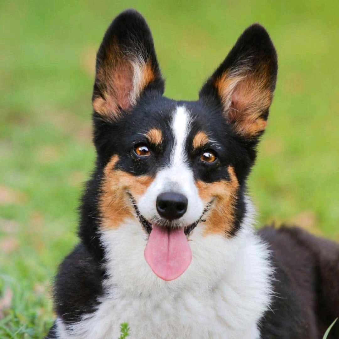 大自然精品果蔬供应