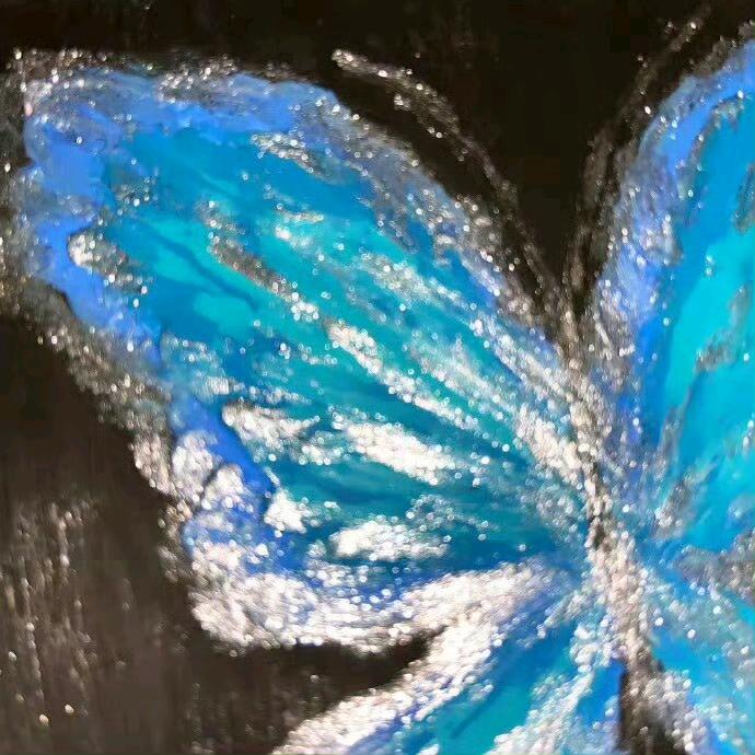 摄影师小蝴蝶📷