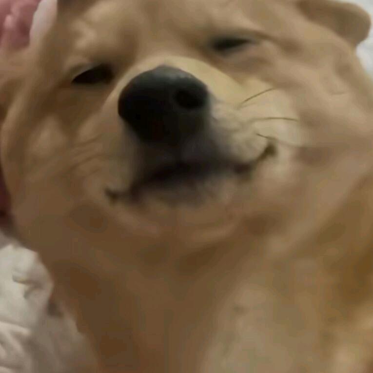 顾嘉