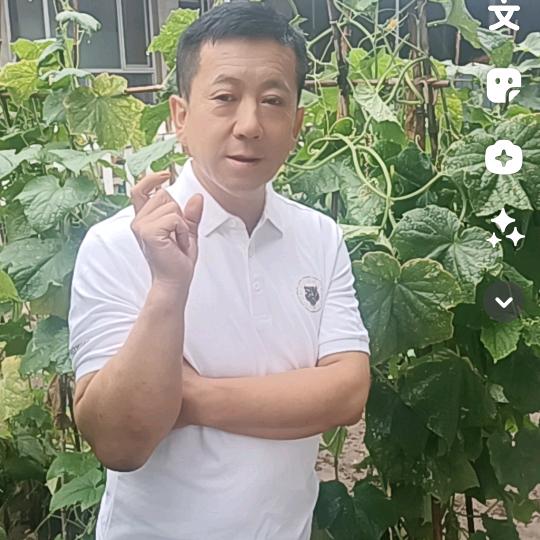 伤感逍遥王