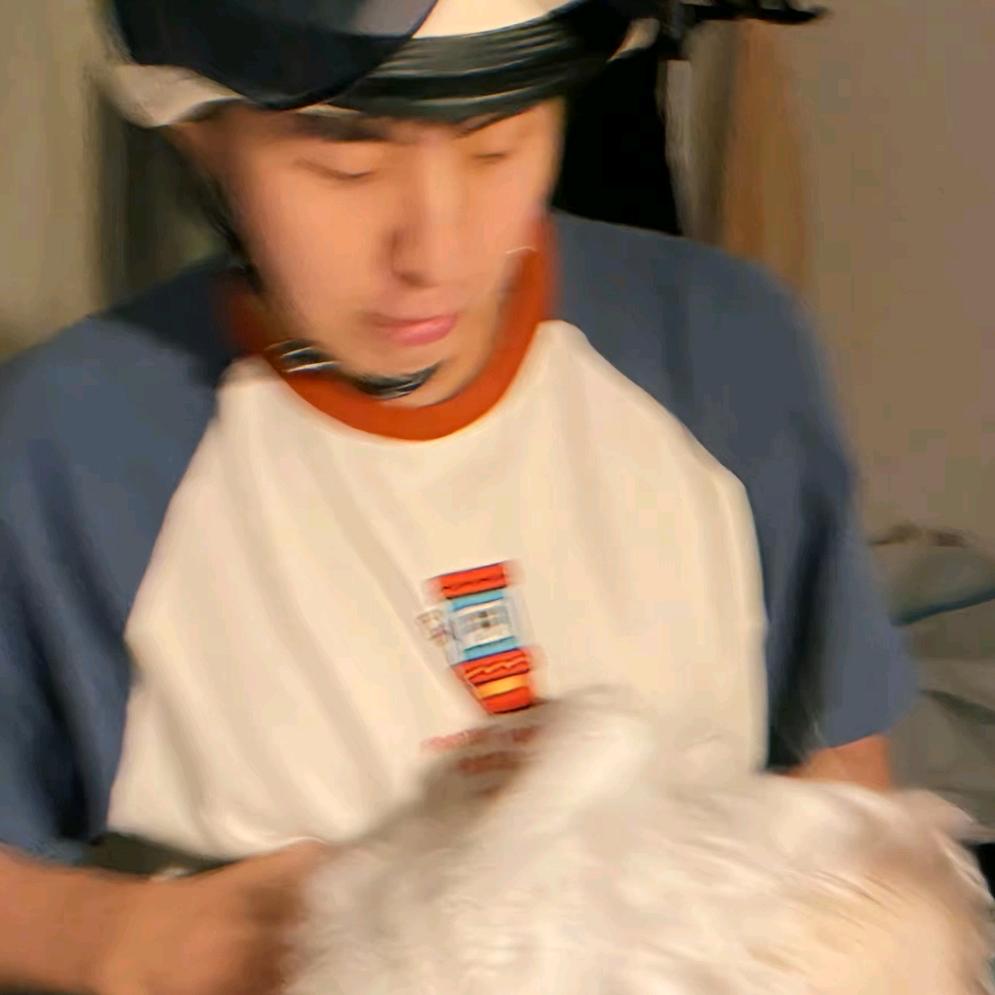 北辰不及星河