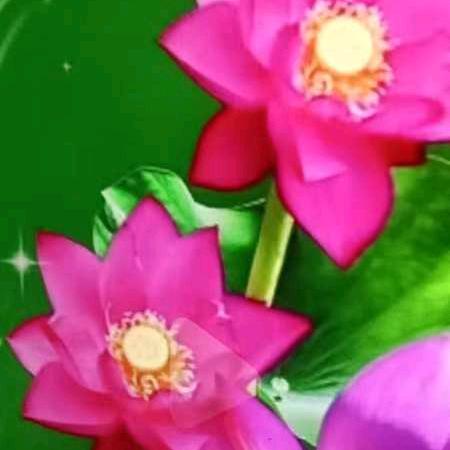 金花