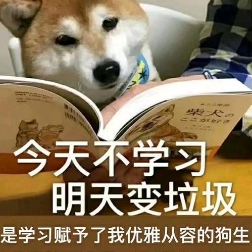 宝贝