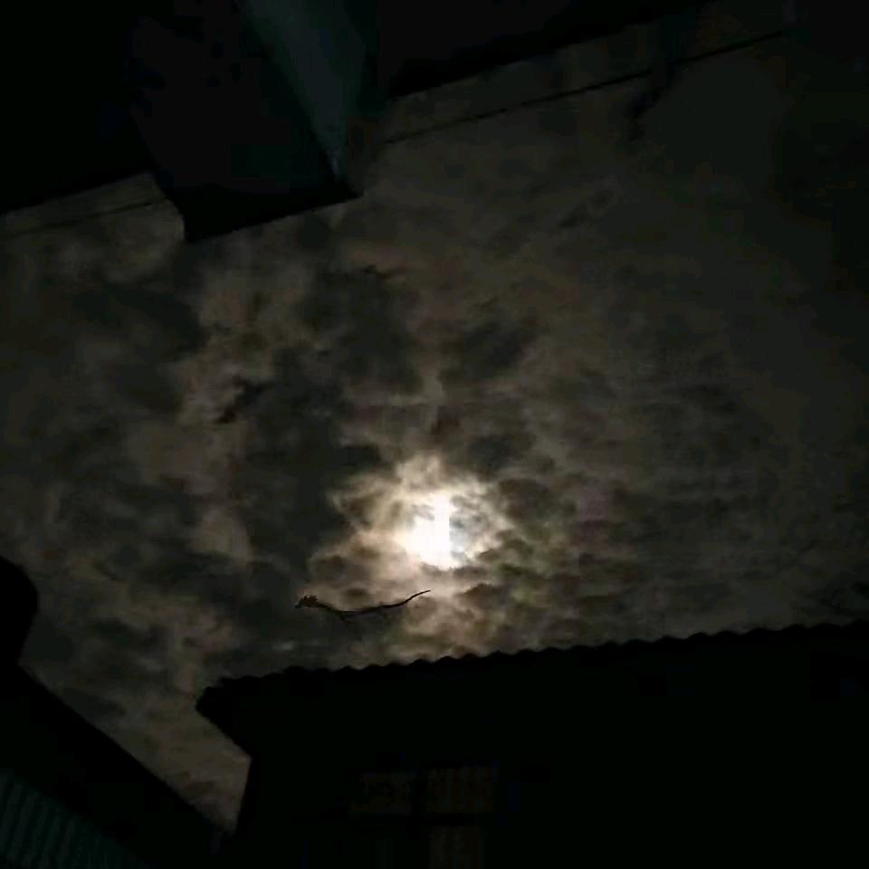 ঞℳ̶̶̶̶໌໌້ᮨ꧔归零꧔ꦿ℘