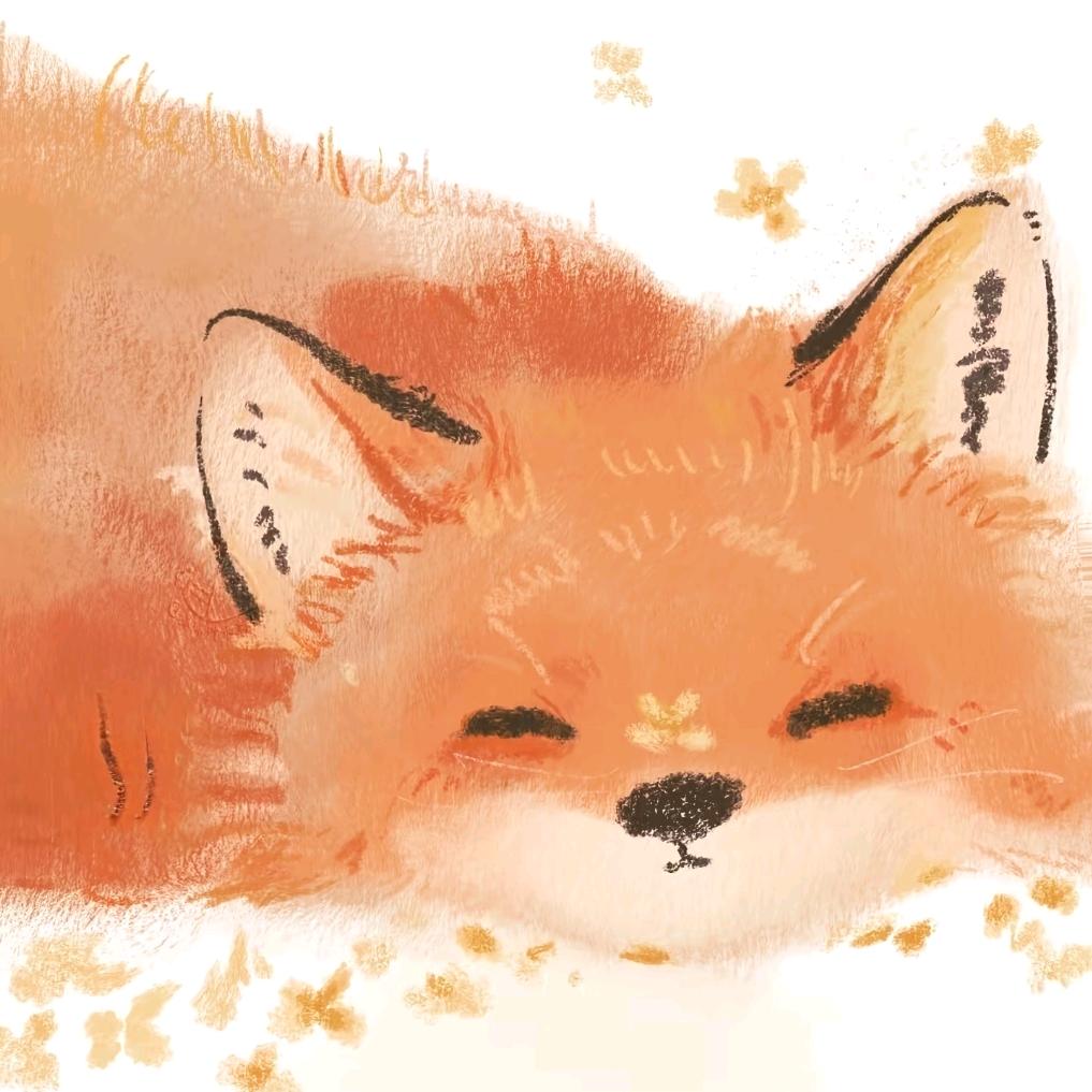 椰子树下的夏天