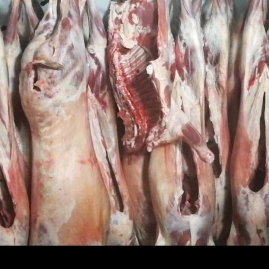 马龙直卖祁连牛羊肉