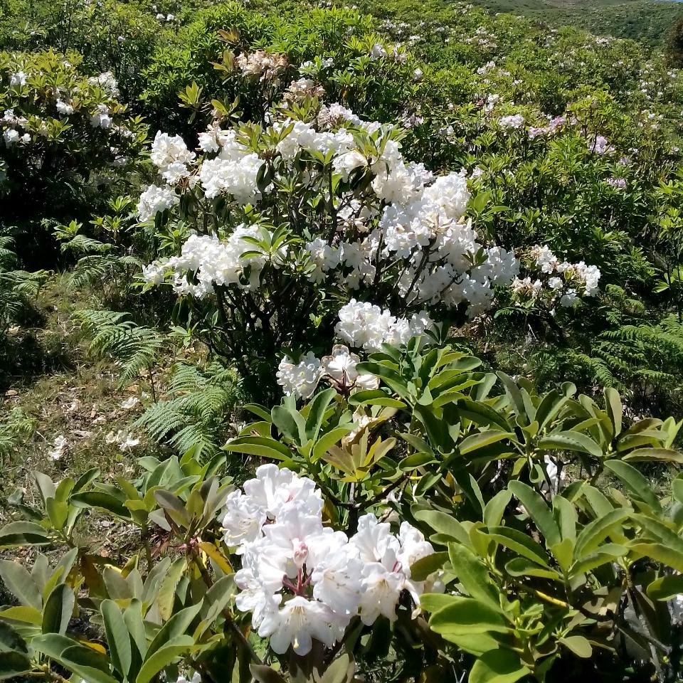 时'&过&境&迁