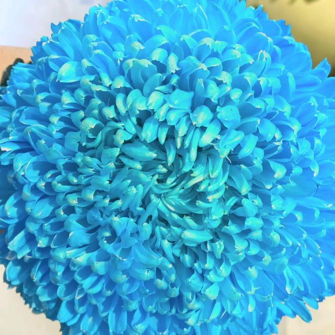 ও🕊大权在握💕