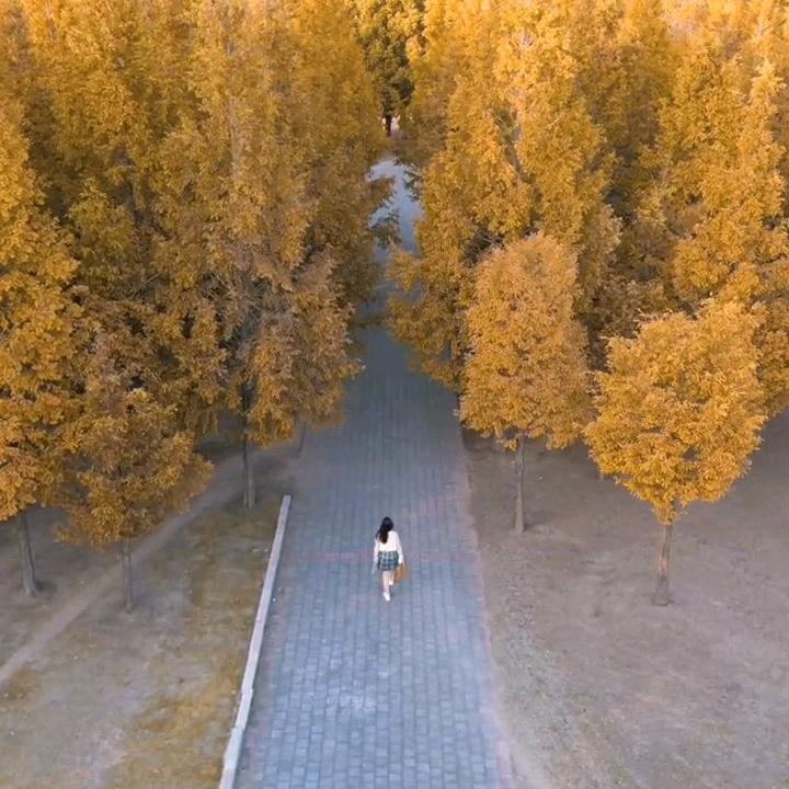 换个苹果梨回家过年_1