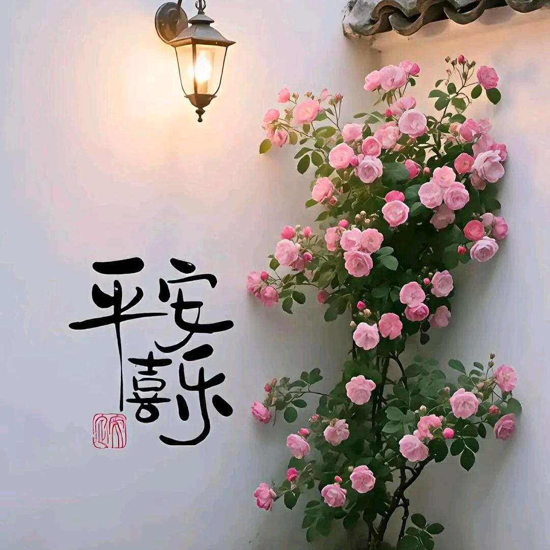 千li恋qin