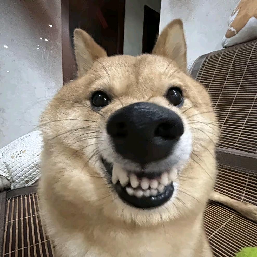 骑着蜗牛撵大象