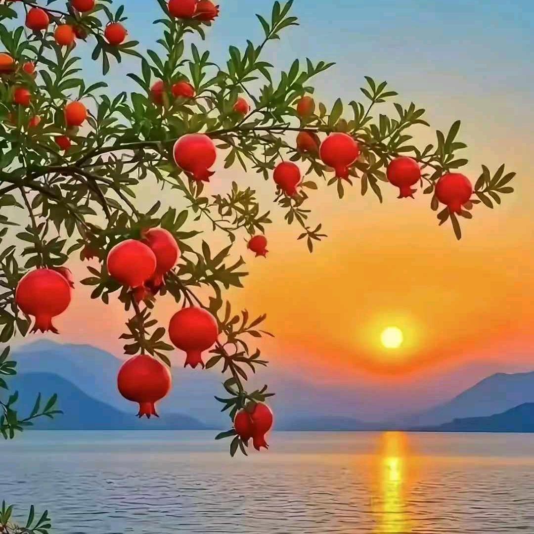 东昊🌸🌺