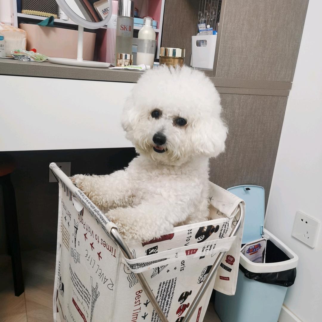 程程在哪里