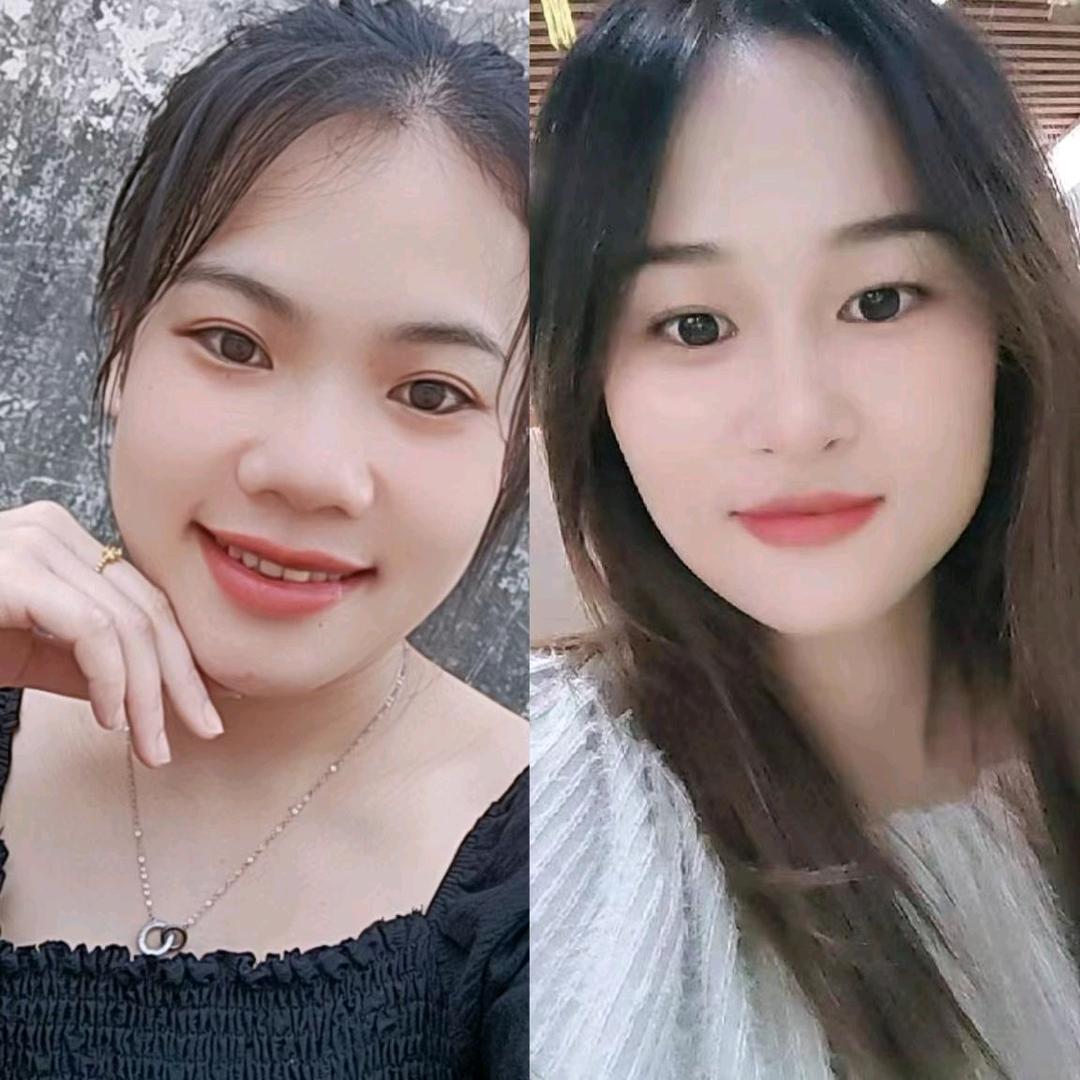 ✨🪴含羞草🪴✨