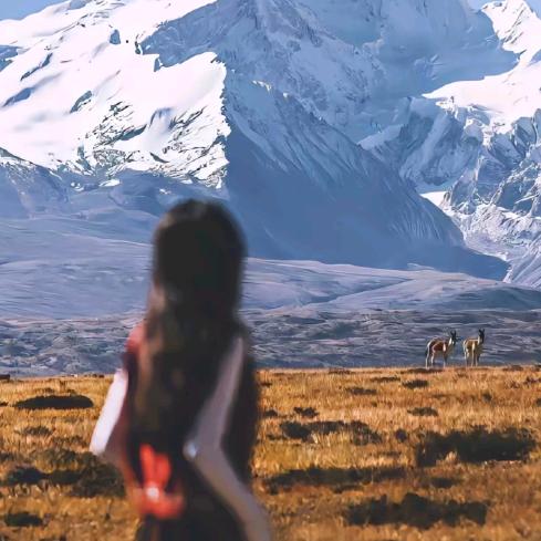 我不想当牛马了