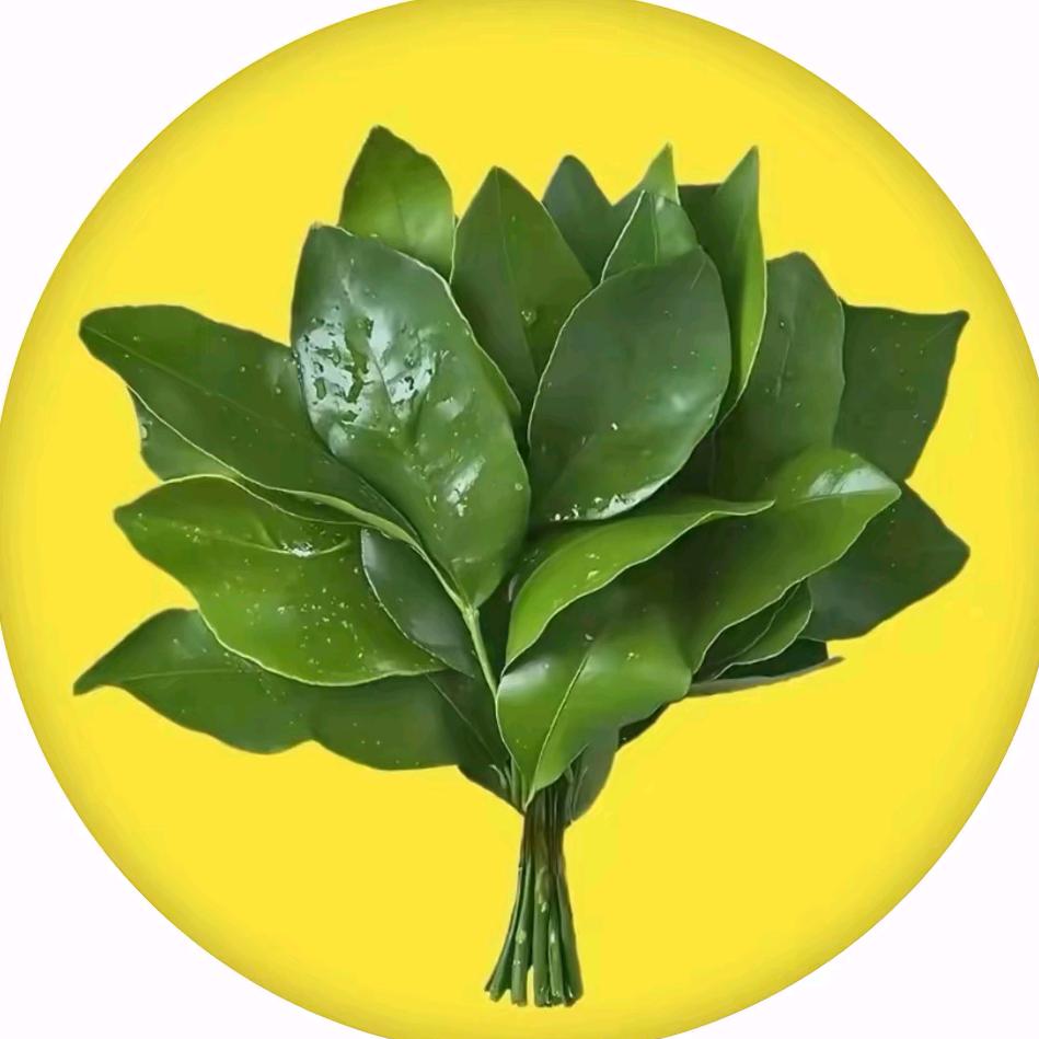 L（请勿连赞）