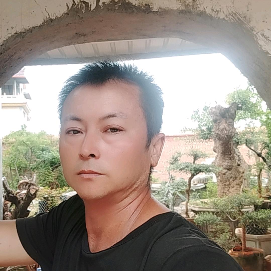 阳光总在风雨后
