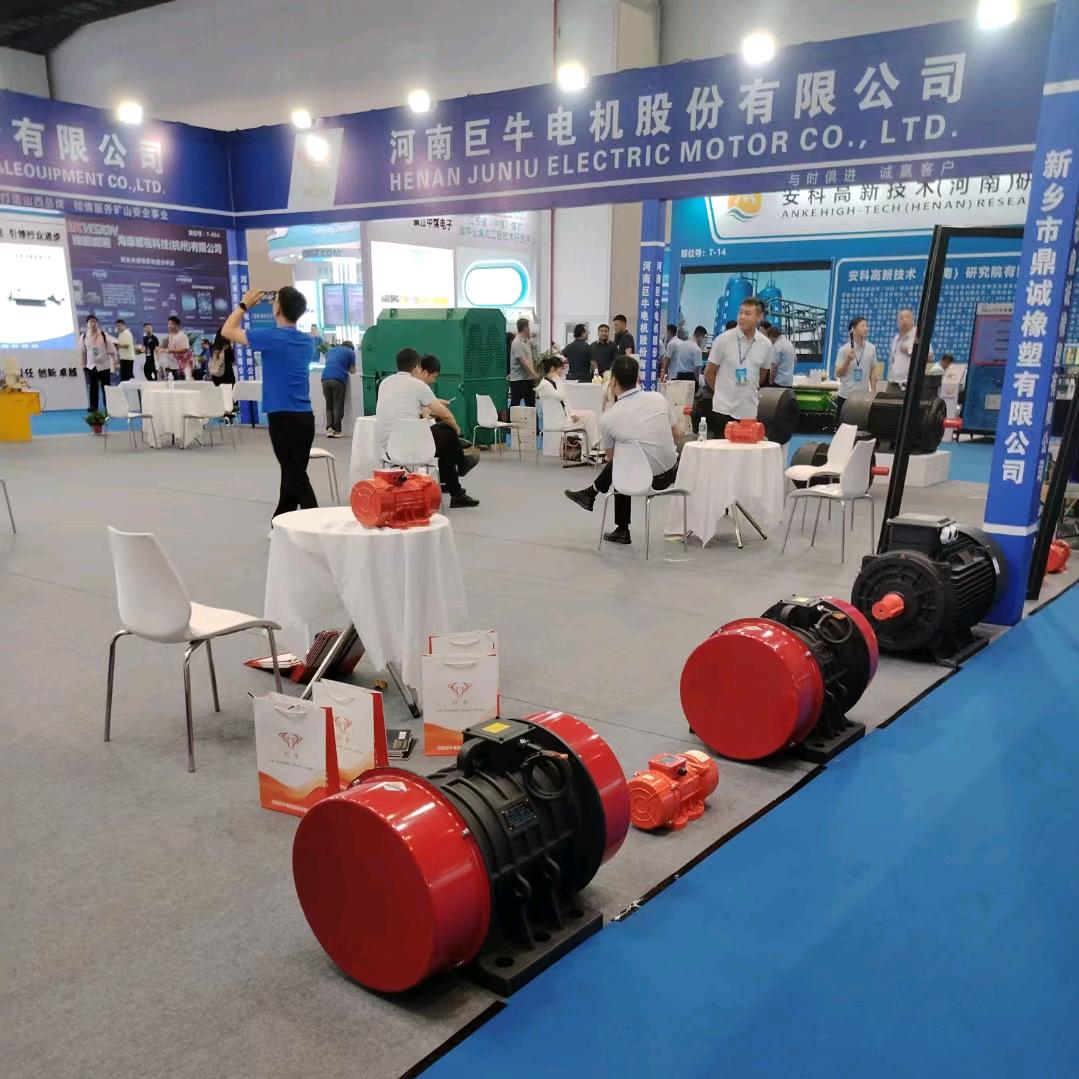 巨牛江工特电机冯帅