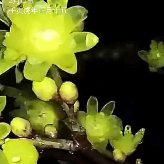 浮尘