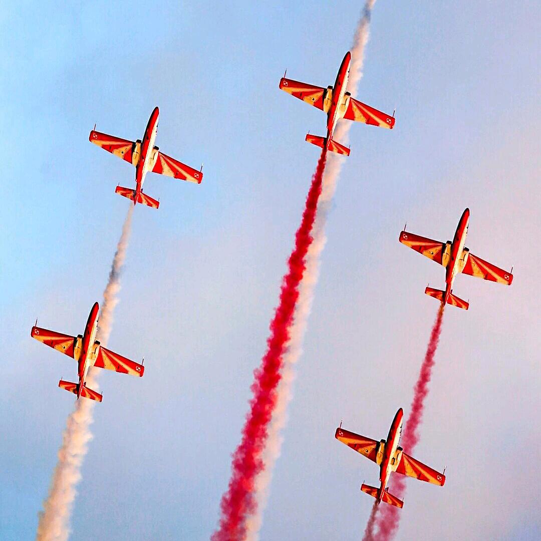 ✪ω✪太简单(ಡωಡ)