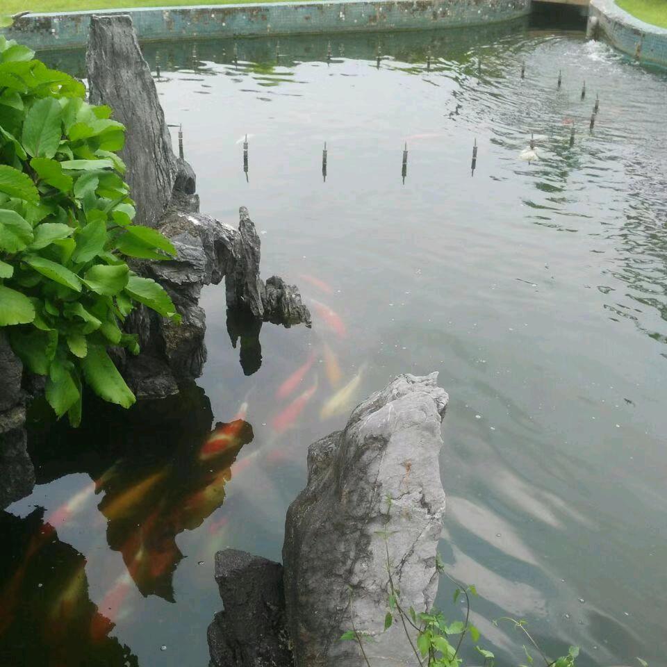 改变自己