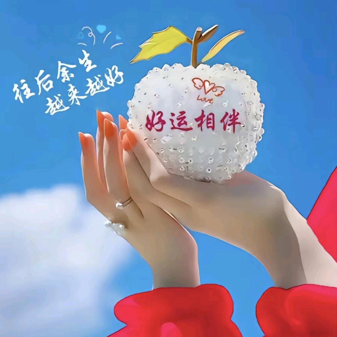追求完美境界
