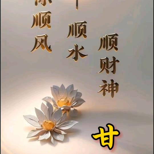 一帆风顺甘南南