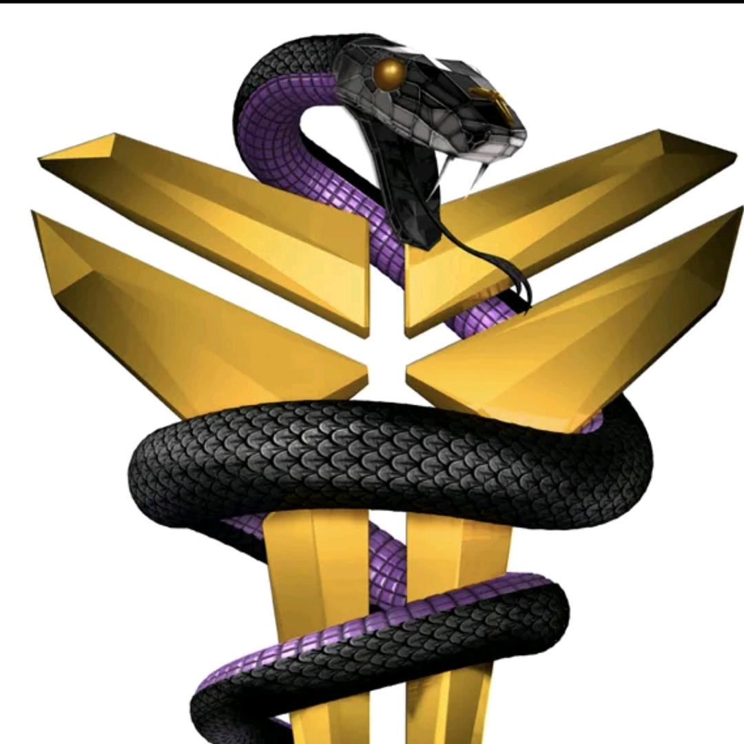 黑曼巴🐍