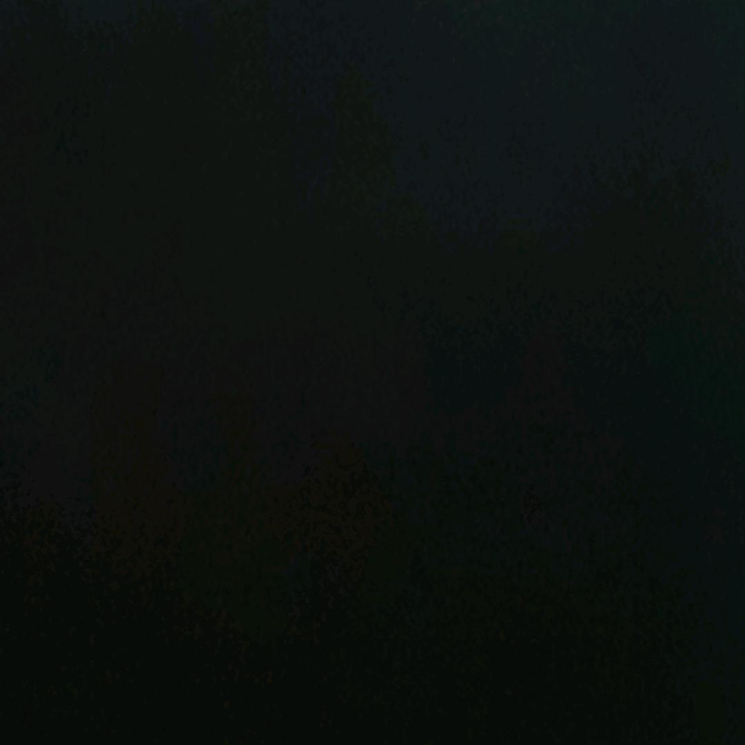 朱