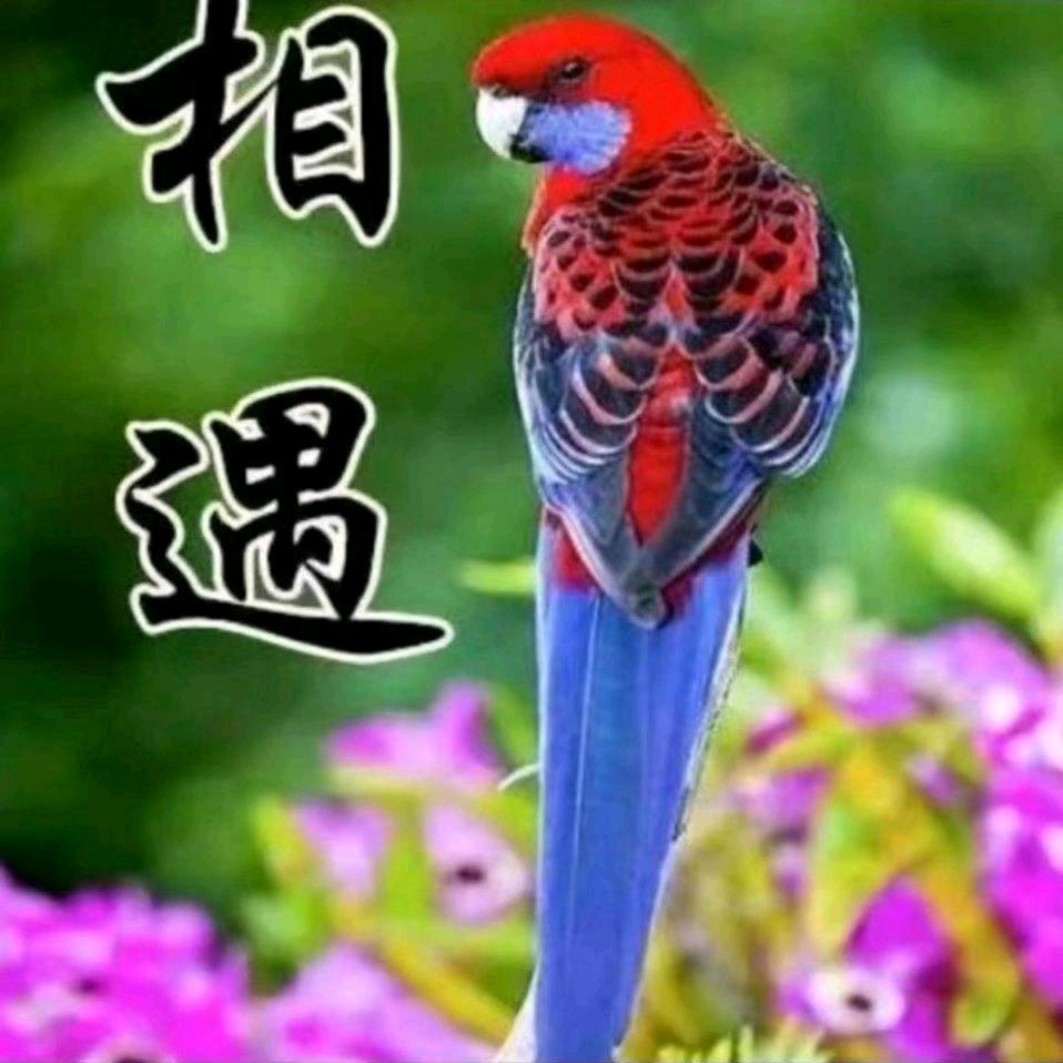 💞🍃小幸运🍃💞